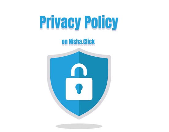 Privacy Policy on nisha.click